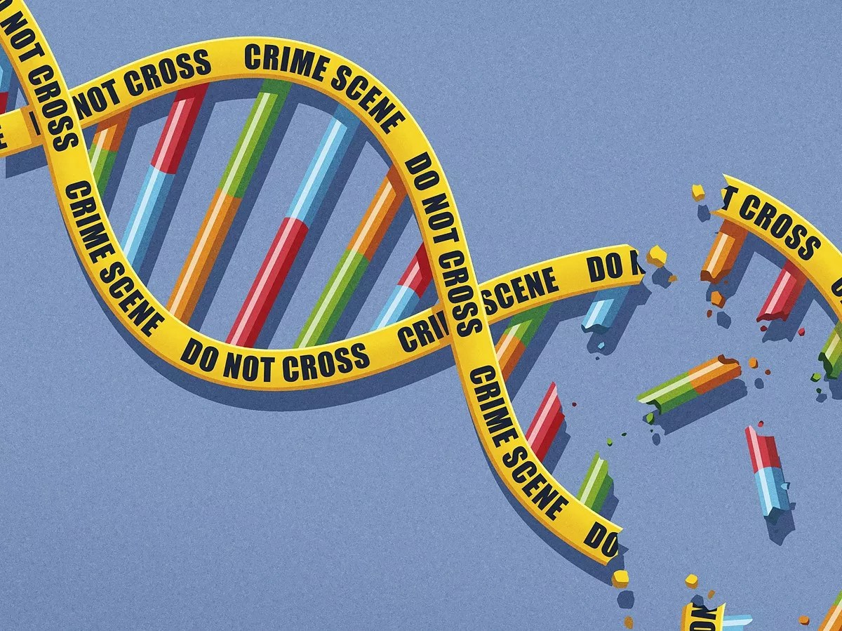 Hundreds of Broward Cases in Doubt Over DNA Testing Problems, Expert’s Suspension for Sexism, Racism