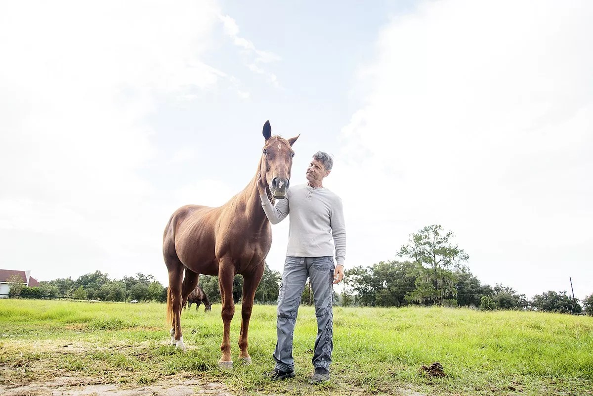 Marty Wolfson Was Broke and Homeless Until a Horse Saved His Life