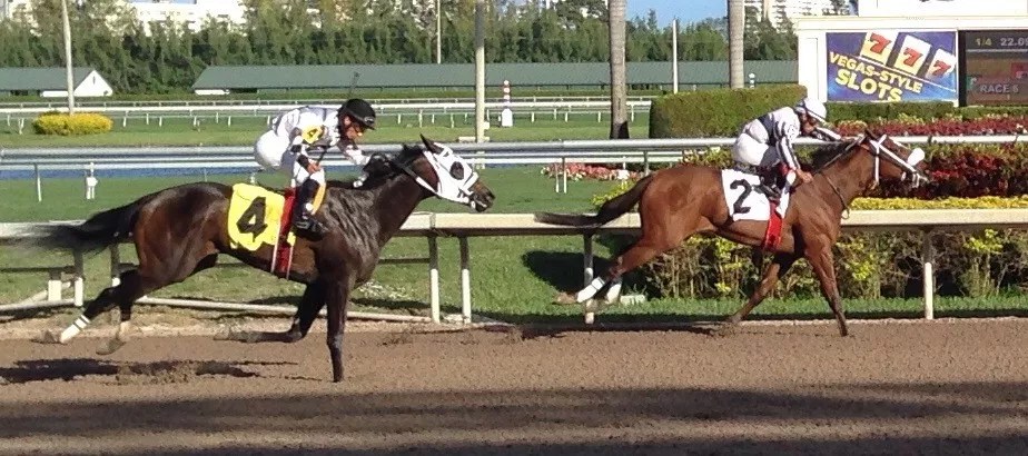 The Pegasus World Cup Is the Perfect Race for Donald Trump’s America