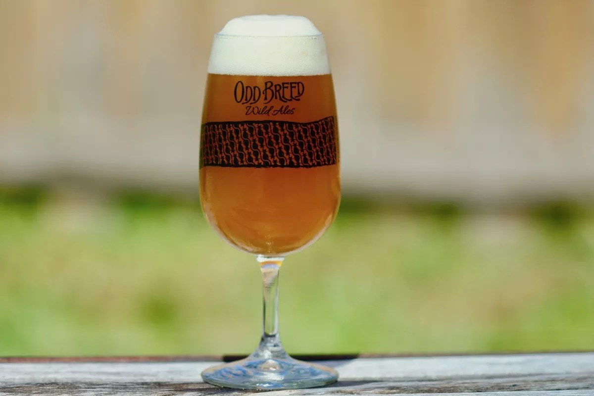 Odd Breed Wild Ales to Open This Summer With Online Bottle-Release Sales