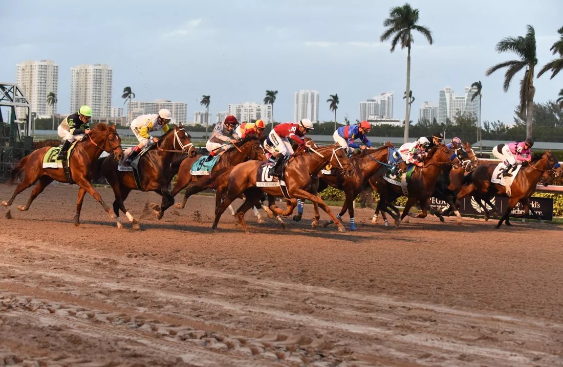 Florida Banned Greyhound Racing In 2018. Is Horse Racing Next?