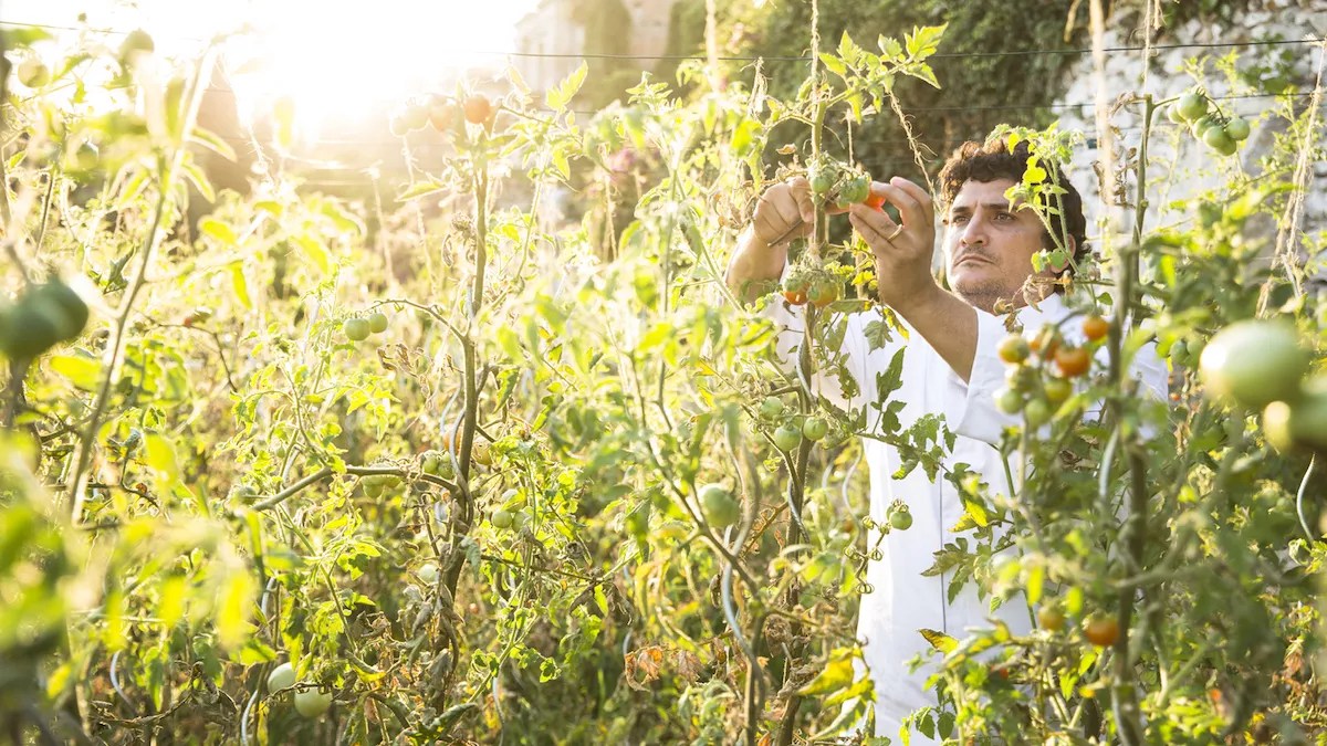 At Florie’s, a Michelin-Starred Chef Brings the South of France to Palm Beach