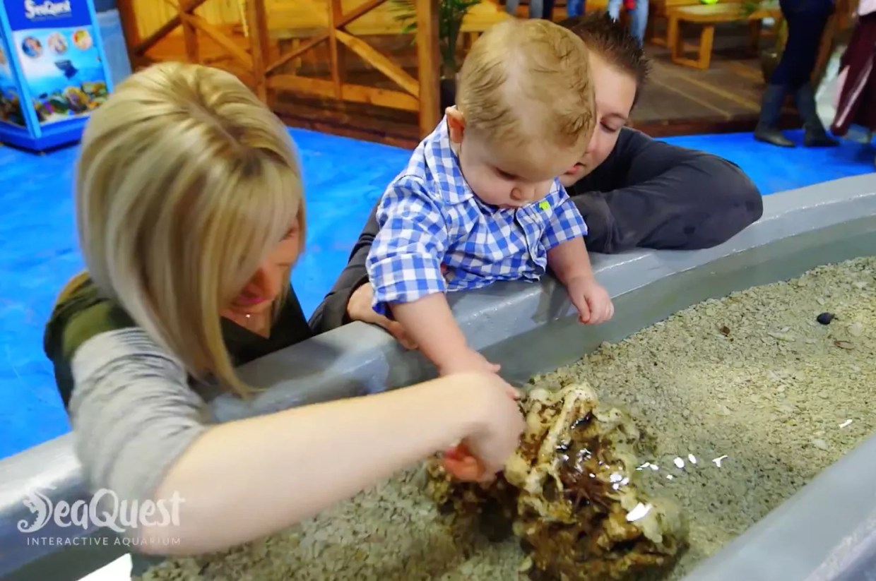 Dogged by Controversy, SeaQuest Fort Lauderdale Lags Behind Schedule