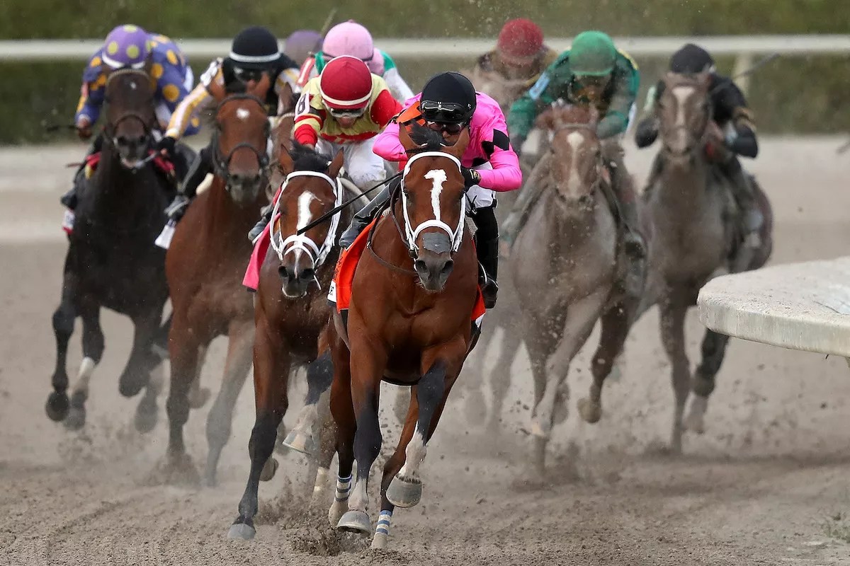 Gulfstream’s Horse Death Toll at 34 as Championship Meet Opens