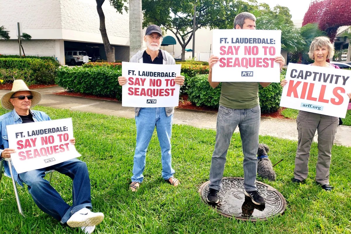 SeaQuest Fort Lauderdale Still in Limbo as PETA Pursues Lawsuit