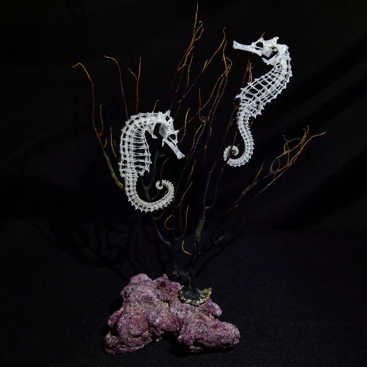 Dead Sea Soul: Zach Schwartz Turns Skeletons Into Sculptures