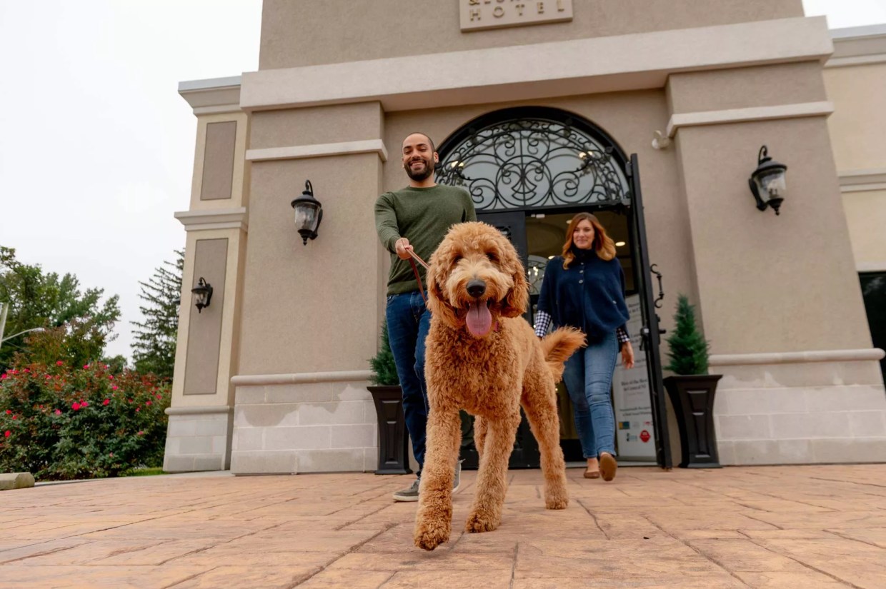 Hotel for Dogs: A Luxury Pet Resort Just Opened in Pompano Beach